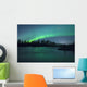 Aurora Borealis over the river Wall Mural