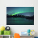 Aurora Borealis over the river Wall Mural