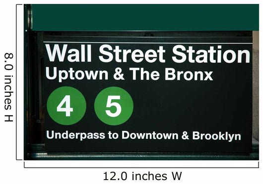 Wall Street Subway Station Wall Mural