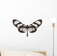 Tropical Butterfly Collection Methona