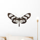 Tropical Butterfly Collection Methona