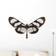 Tropical Butterfly Collection Methona