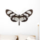 Tropical Butterfly Collection Methona