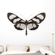 Tropical Butterfly Collection Methona