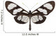 Tropical Butterfly Collection Methona