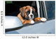Welpe im Auto