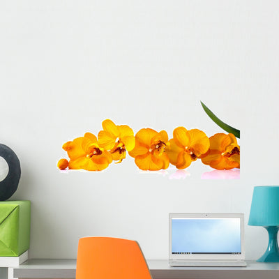 Orange Streaked Orchid Flower shown on a wall
