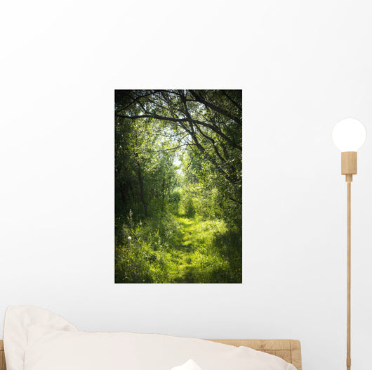 Narrow Path Fairy Forest