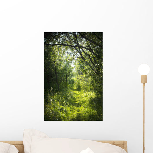 Narrow Path Fairy Forest