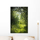 Narrow Path Fairy Forest