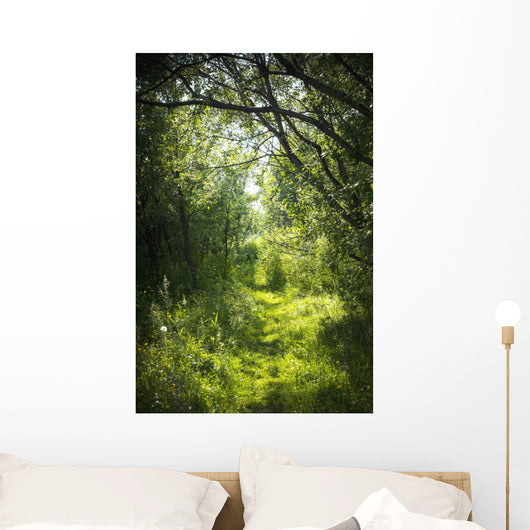 Narrow Path Fairy Forest