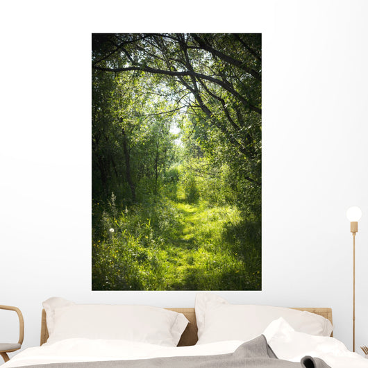 Narrow Path Fairy Forest