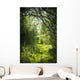Narrow Path Fairy Forest