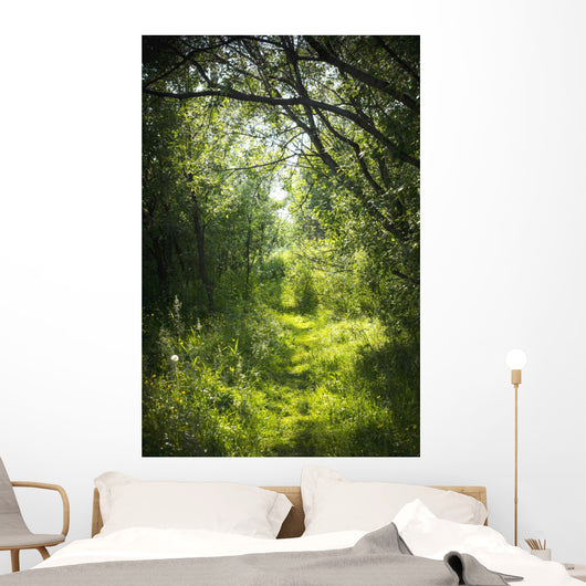 Narrow Path Fairy Forest