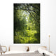 Narrow Path Fairy Forest