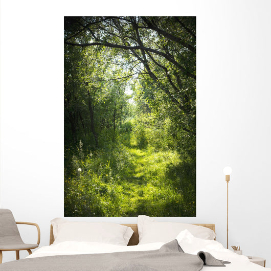 Narrow Path Fairy Forest
