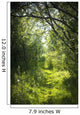 Narrow Path Fairy Forest
