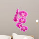 Orchid Flowers White