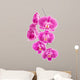 Orchid Flowers White