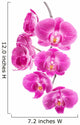 Orchid Flowers White