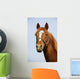 Head Shot Chestnut Horse