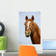 Head Shot Chestnut Horse