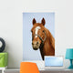 Head Shot Chestnut Horse