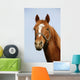 Head Shot Chestnut Horse