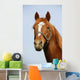 Head Shot Chestnut Horse
