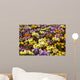 Primula abstract Wall Mural