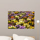 Primula abstract Wall Mural