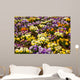 Primula abstract Wall Mural