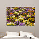 Primula abstract Wall Mural