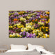 Primula abstract Wall Mural