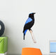 Asian Fairy Bluebird Wall Decal