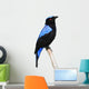 Asian Fairy Bluebird Wall Decal