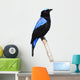 Asian Fairy Bluebird Wall Decal