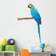 Blue and Gold Macaw