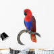 Beautiful Red Parrot Wall Decal