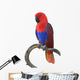 Beautiful Red Parrot Wall Decal