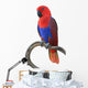 Beautiful Red Parrot Wall Decal