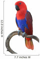Beautiful Red Parrot Wall Decal