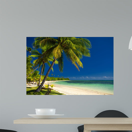 Palm Trees and White