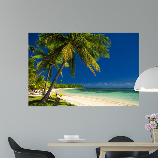 Palm Trees and White