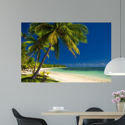 Palm Trees and White