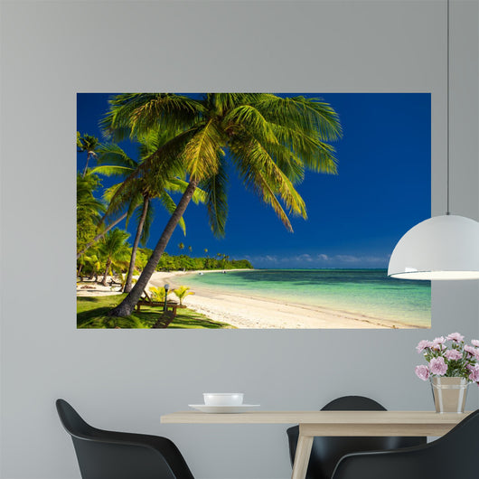 Palm Trees and White