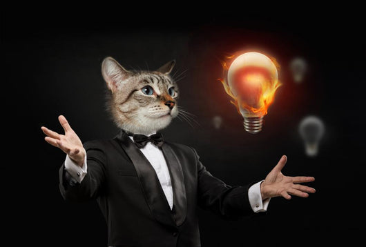 Business Man Cat Head Wall Decal