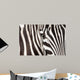 Zebra detail Wall Mural