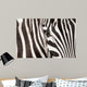 Zebra detail Wall Mural