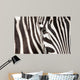 Zebra detail Wall Mural